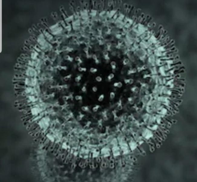 tl_files/News/coronavirus.jpg